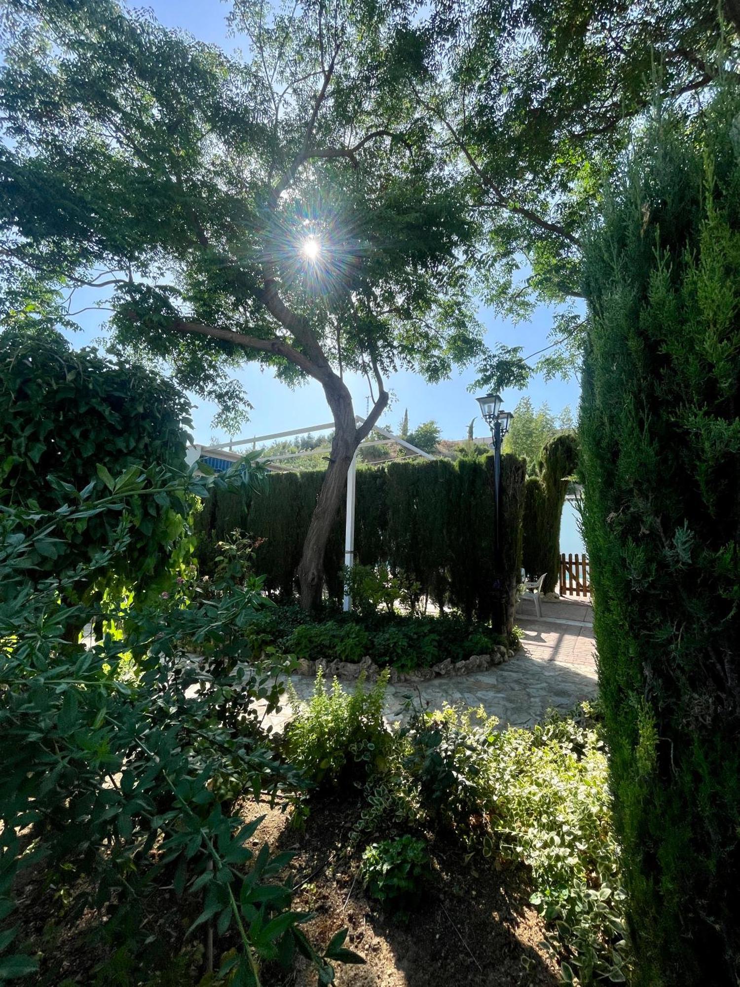 Villa Jardin Priego de Córdoba Exteriör bild