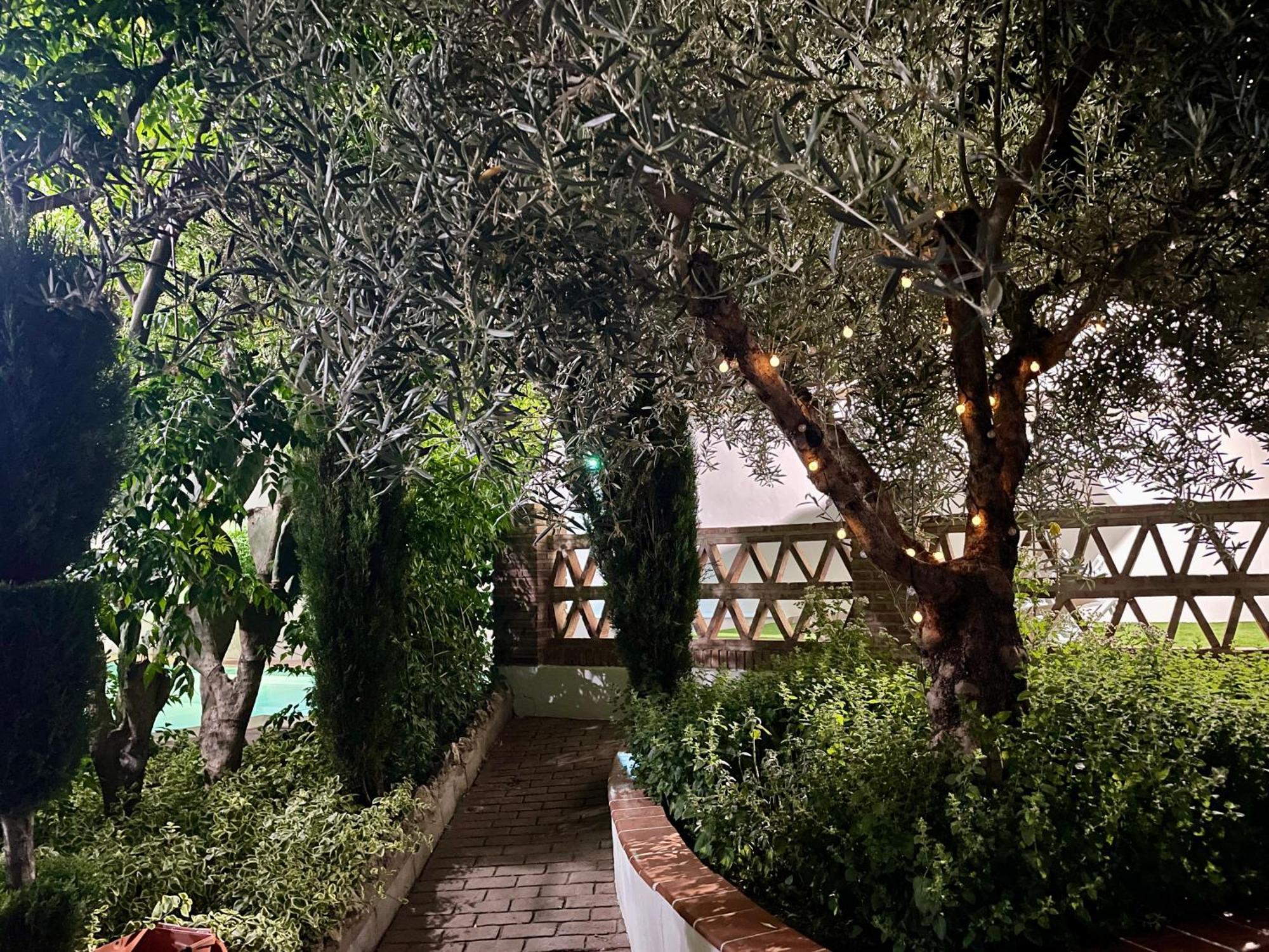 Villa Jardin Priego de Córdoba Exteriör bild